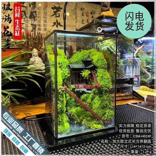 苔藓沉木微景观雨林缸生态瓶造景几何玻璃花房创意植物盆景长方