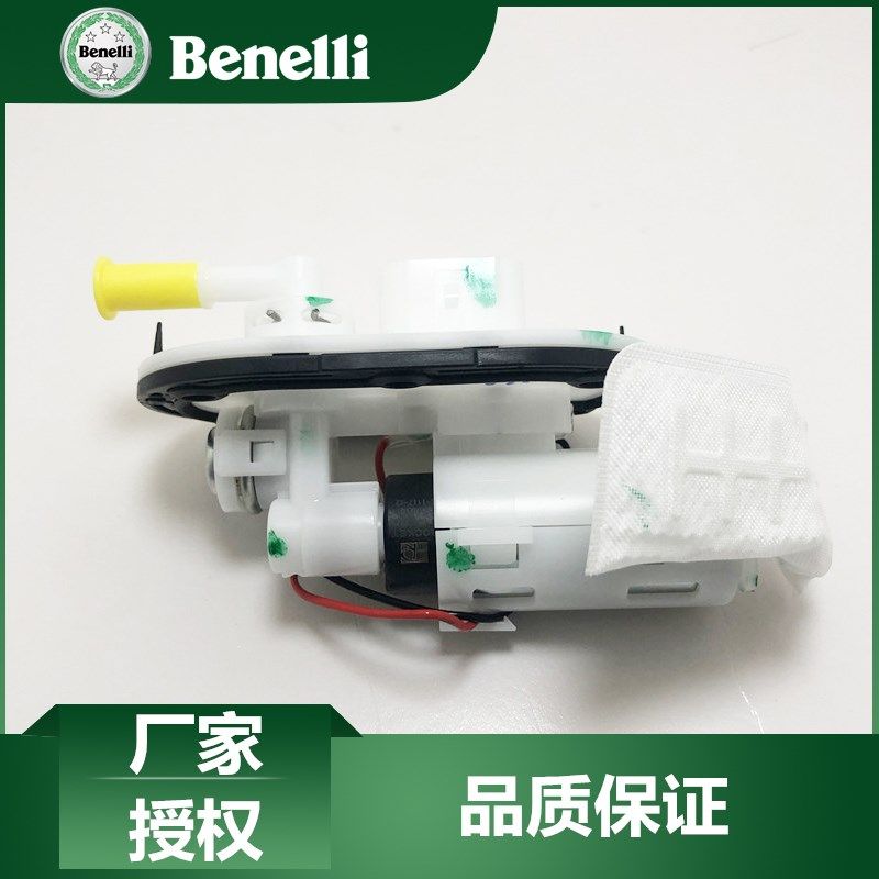 贝纳利原厂配件小迅龙BJ150S汽油泵BJ150-31燃油泵组件