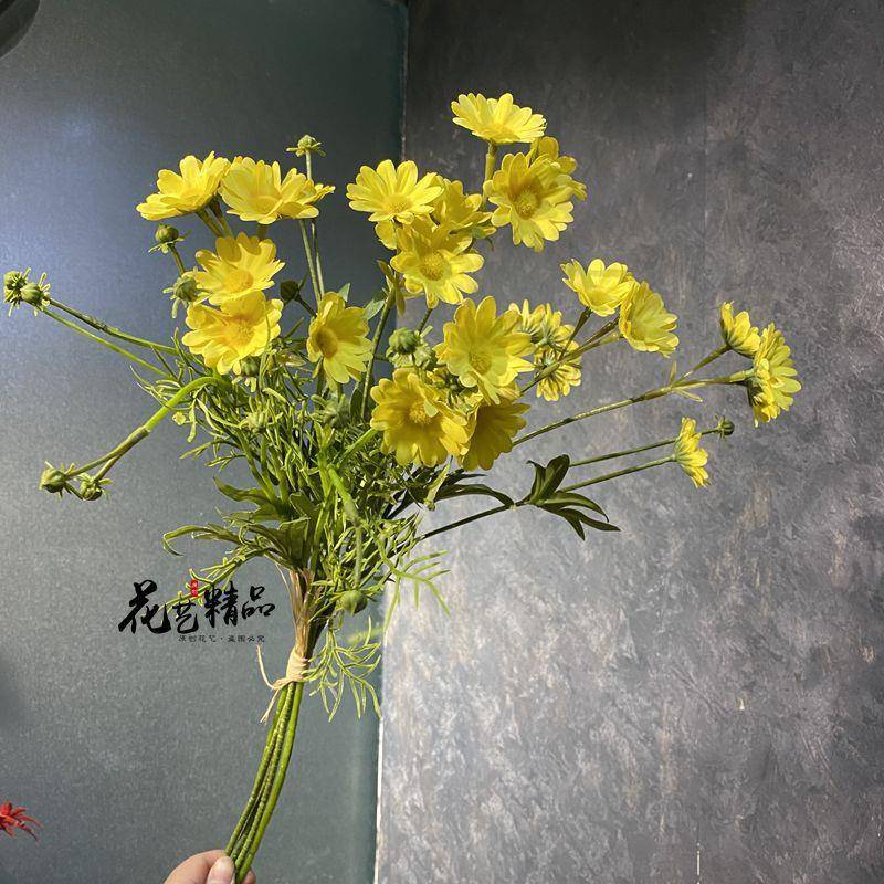 捆扎5枝野菊花小雏菊花海拍摄白色小野花婚礼绢花手捧花洋甘菊