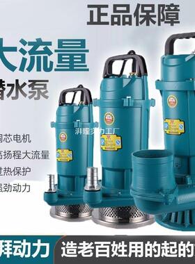 扬泵国标人QTI民潜水22V380V清水泵农用灌溉泵家用大0流量高程抽