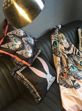 样轻奢时尚老双面饰印花方抱枕板间客虎厅沙发垫装流苏靠KJQ垫含