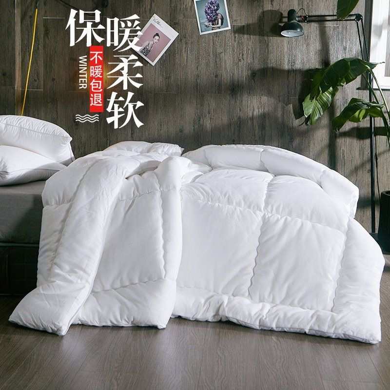 冬被加厚保暖羽丝绒被子12春秋冬被芯宿舍丝绵被双人8/10斤太空被