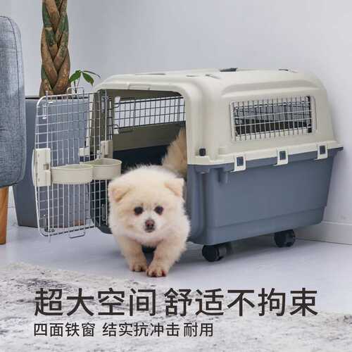 XDPC鑫鼎宠物航空箱塑料箱子带铁窗猫咪狗狗宠物国航标准飞机托运
