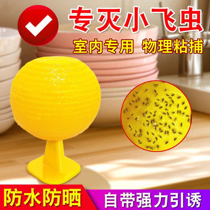 室内诱蝇球粘蝇球果蝇球粘捕小飞虫灭蝇安全持久厨房厕所客厅XZ