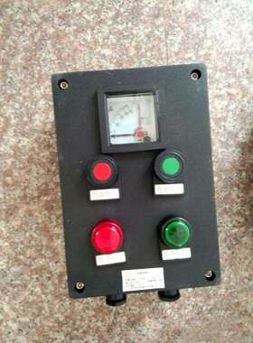 BZC8050K1B1A2D2防爆防腐操作柱LCZ8030BEC56BZC8060FZC-S-