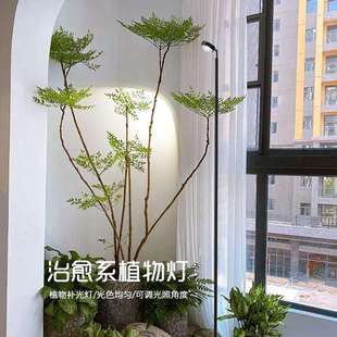 专业植物补光灯全光谱绿植生长灯室内落地仿太阳多肉养花卉光照灯