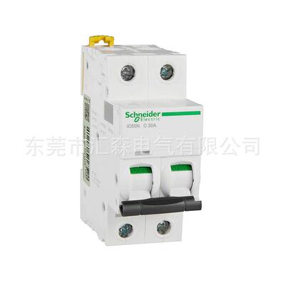 原装微型断路器IC65N2P小型断路器IC65N2PC6A