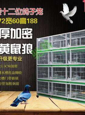 yut四层鸽子笼鸽子配对笼铁笼多层鸽笼公棚观察笼加厚加密鸽子饲