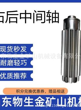 宽体车配件法士特原厂变速箱配件右后中间轴编号7DS200-1701050