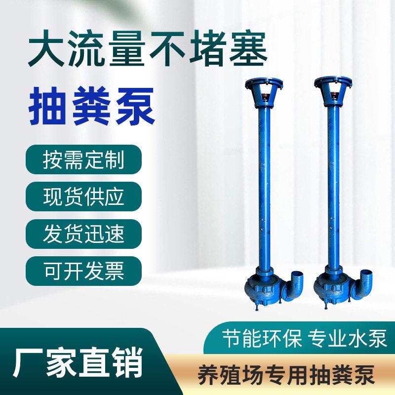 扬程泥浆泵大功率污水泵抽粪泵立式液下泵养殖场化粪池吸粪机