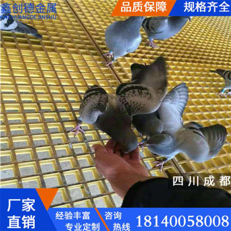厂家现货鸽舍网格漏粪格栅养殖鸽笼赛鸽公棚地网2x1米钢格栅现货