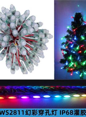 LED幻彩外露灯WS 2811户外防雨DC5V点光源发光字全彩穿孔led灯串