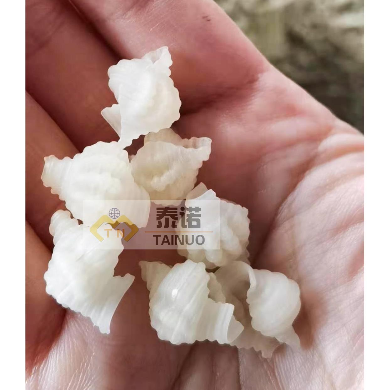 纯面粉制作贝壳面设备空心面贝壳面生产机器济南泰诺厂家