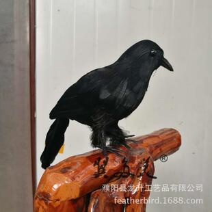 仿真乌鸦万圣节道VDA摆具鬼节毛狂欢节西方节日用品鸹羽老鸟件装