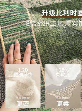 地毯客厅绿色2JR202505025污新款免洗可卧室边擦轻奢高级防水防沙