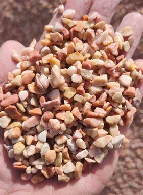 厂905供应黄金石黄色洗米石透石水路面黄石子园林家铺面用黄金色