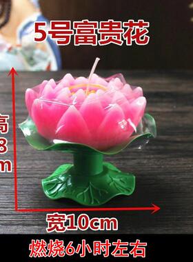 号富贵花燃522烧6小时宽10cm明莲花还灯荷花灯愿长5灯供灯厂家