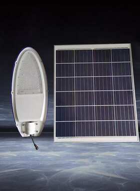 30Wled小金豆路灯灯头12V/220V市电/太阳能LED路灯户外道路灯厂家