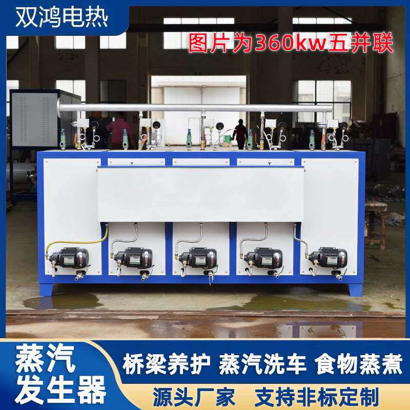 蒸汽发生器300KG 工程混凝土 桥梁养护 蒸煮酿酒电加热蒸汽机锅炉