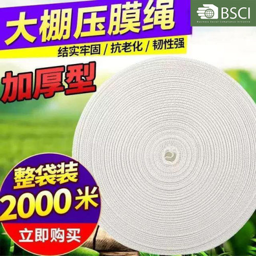 大棚压膜绳涤纶扁带果树绑扎专用