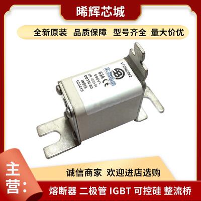 170M2662 170M1571D 巴斯曼低压熔断器全新原装量大从优现货正品