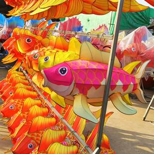 户外花灯鱼灯餐厅过道庭院酒吧商场装饰金鱼鲫鱼花灯定制