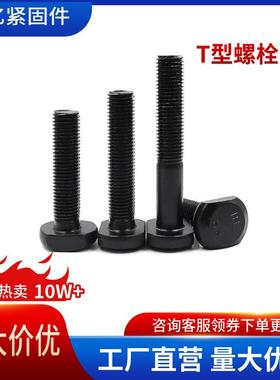 8.8级高强T型螺栓M6M8M10M12M16T形槽用螺栓T形方颈螺丝压板螺丝