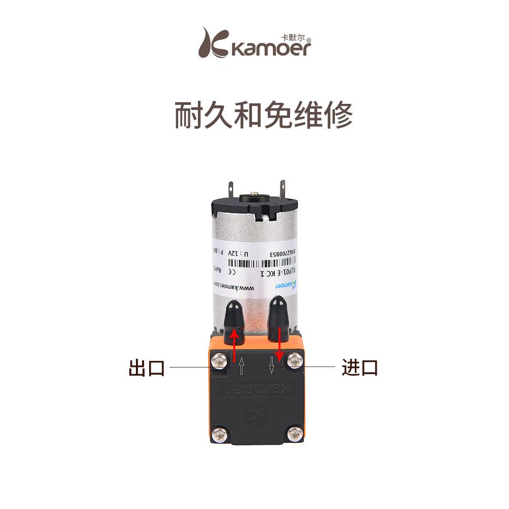 微型隔膜泵12v电动油泵小型液泵24伏供墨泵工业抗腐蚀水泵高压泵
