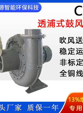 零售透浦式鼓风机 工业除尘吸尘鼓风机 吹风送风配套中压风机