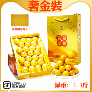 正宗脆蜜金柑广西融安金桔水果第三代大金桔7A果王巧克力礼盒装