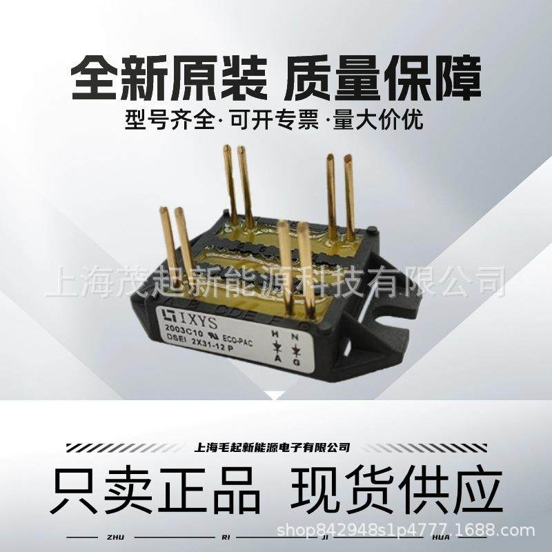 DSEI2X31-12PDSEI2X161-06PDSEI2X161-12PDSEI2X61-12P