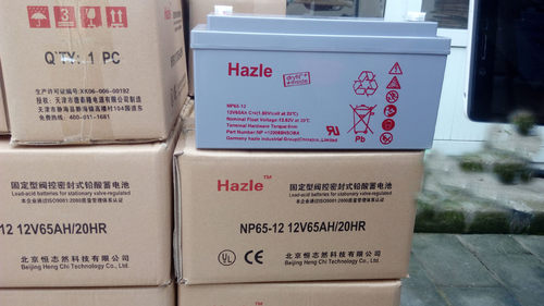 德国恒志蓄电池NP100-12 12V100AH 胶体蓄电池质保五年 联保