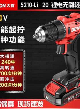 大有（Devon）20V锂电无刷电钻5210多功能电动螺丝钻冲击钻平钻