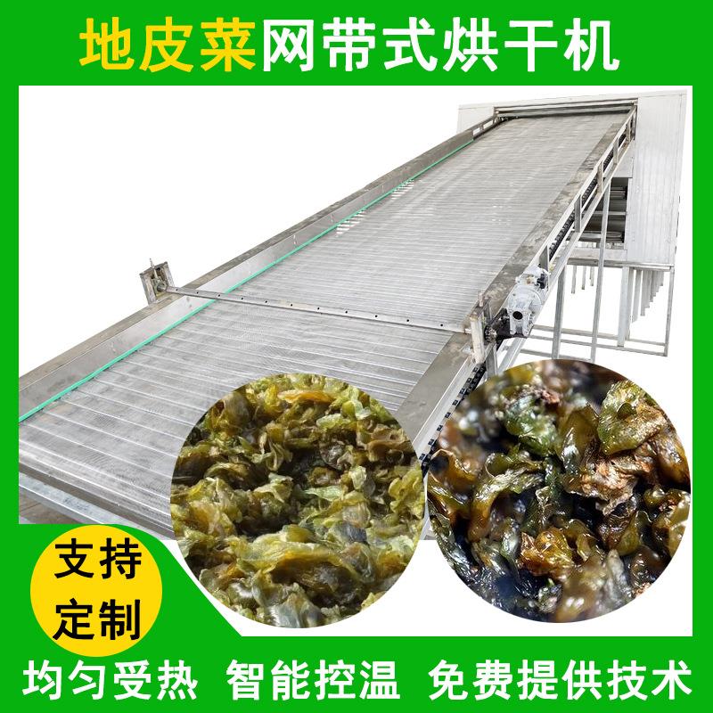 大型地皮菜地木耳烘干机网带式空气能烘干房空气能地软干燥设备