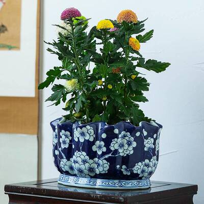 陶瓷花盆种树大口径花盆陶瓷家用庭院仿古青花瓷中式陶瓷花盆陶瓷