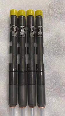德尔福EJBR05001D喷油器/德尔福共轨喷油器EJBR05001D欧四R05001D