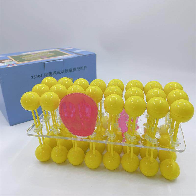 j33304细胞膜流动镶嵌模型组件细胞膜模型生物实验器材教学仪器