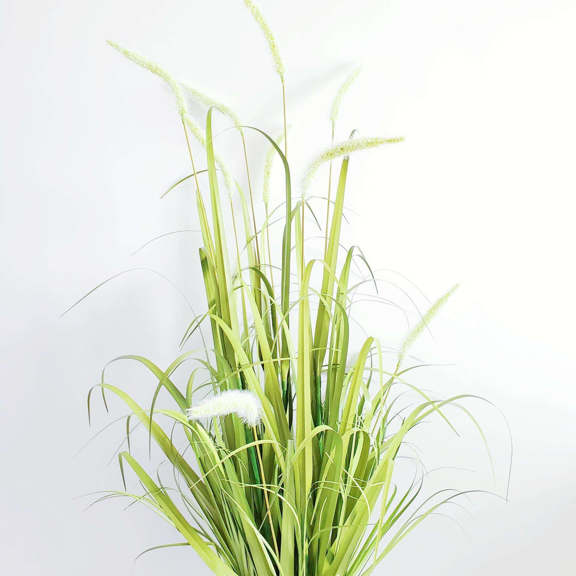 北欧仿真狗尾巴草头绿植盆栽植物摆件仿真草干草家居装饰假草盆景