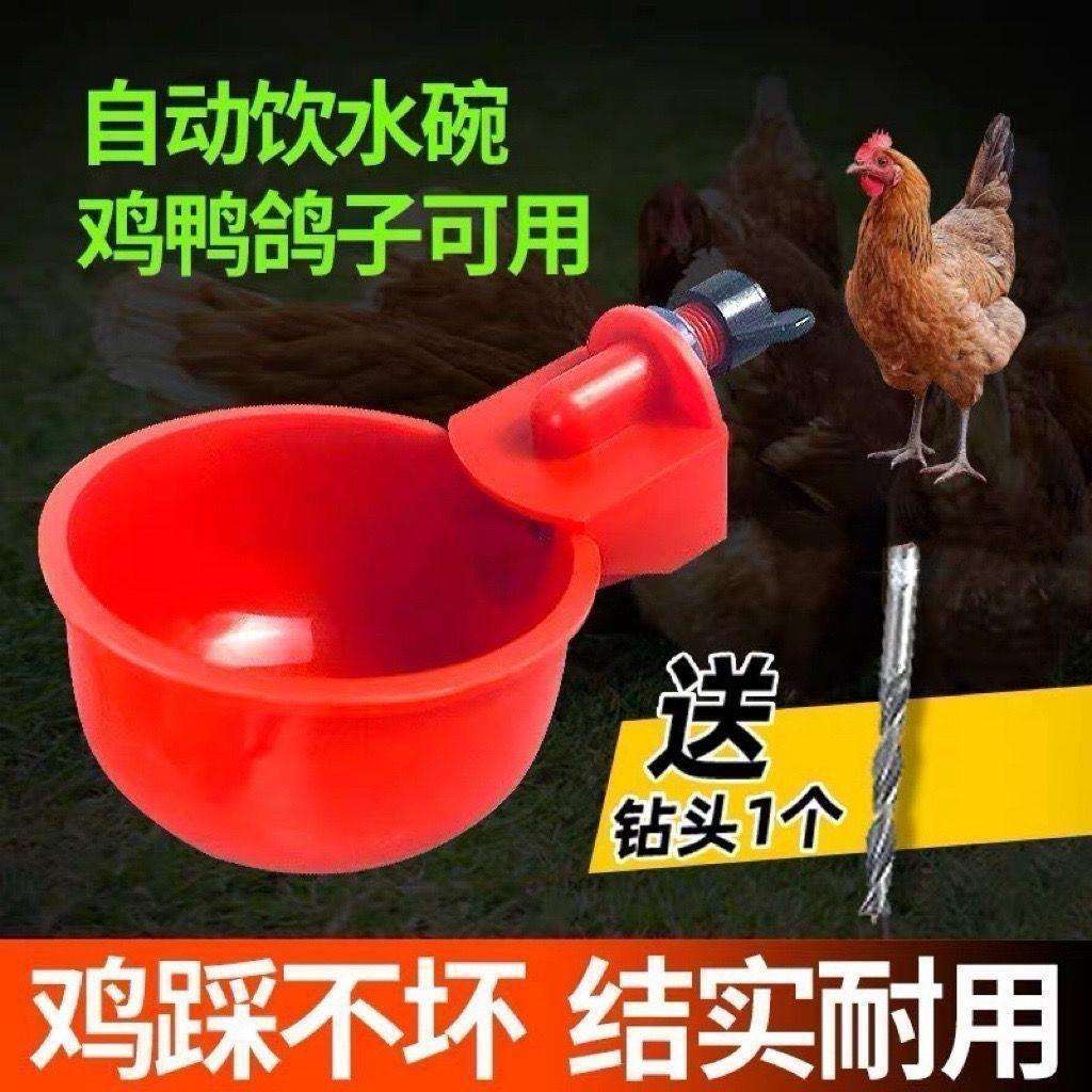 家禽自动饮水器鸡鸭鹅自动水碗喂水器鸽子鸡饮水器养鸡自动喂食器