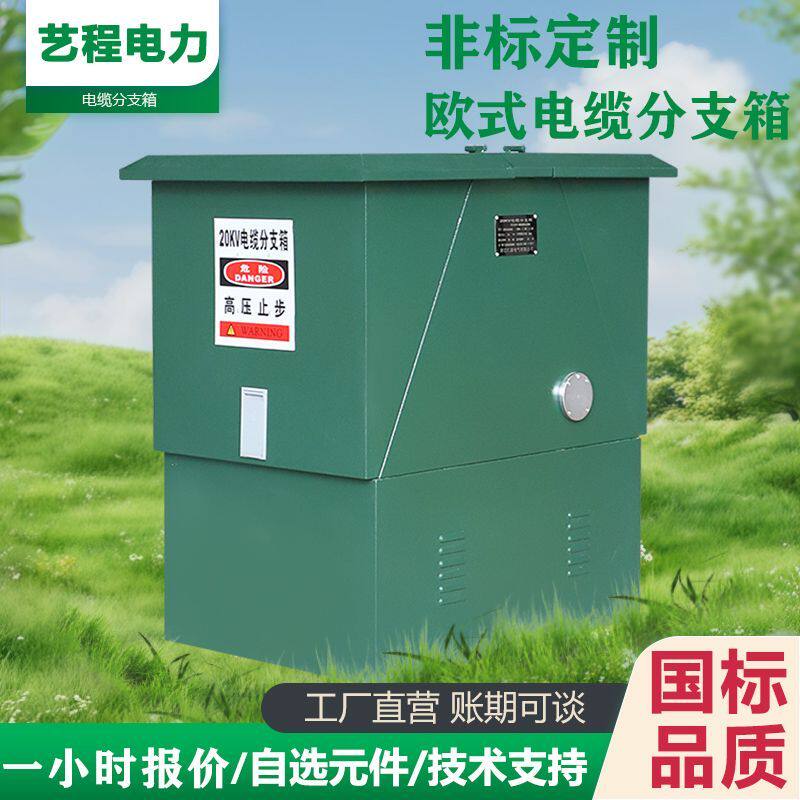 高压分支箱10KV欧式电缆分支箱DFW-12/630A户外防雨一进二三四出