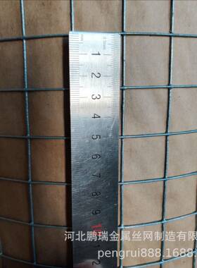 厂家热镀锌VLK电焊网.2丝5cm电焊圈网养殖网地网镀锌铁网