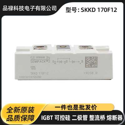 快恢复二极管 晶闸管SKKD170F12 SKKD205F06 SKND150F12原盒原装