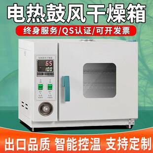 电热恒温鼓风干燥箱高温加热小型工业烤箱烘干机实验室烘