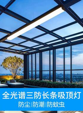 TRIAC阳光房专用灯玻璃房阳台房吸顶灯户外壁灯屋檐雨棚长条吸顶