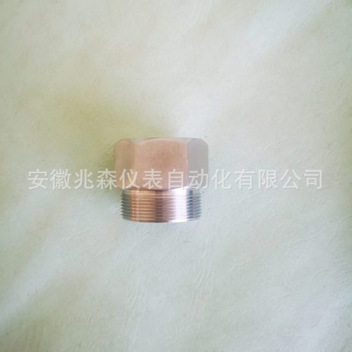 仪表变径接头M36X2-M35X1.5-M40X1.5-M42X2-1NPT-3/4NPT-M39X1.5