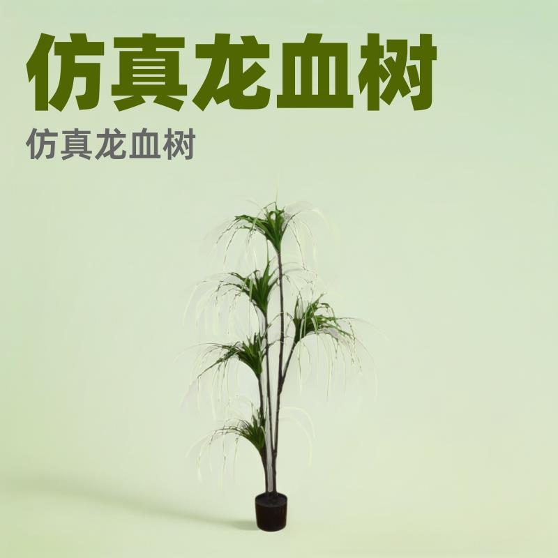 仿真龙血铁软装造景盆栽龙血树植物橱窗家居落地摆件绿植龙须铁