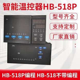 20mA 518P719P可编程温控仪30段****控制器高端智能温控器4