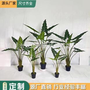仿真萨利安海芋北欧风家居商场橱窗装饰植物仿真绿植仿真仙芋