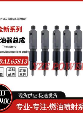 KBAL65S13喷油器适用道依茨发动机F3L912F4L9122233085喷油泵