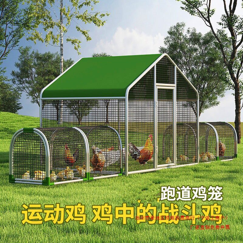 厂家直销新型养殖棚特大鸡笼子隧道鸡笼庭院跑道鸡笼养鸡户外全套图片